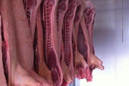 Buy Chilled Frozen Pork Half Carcass online