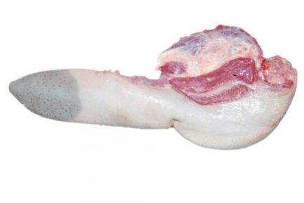 Buy Frozen Beef Tongue online